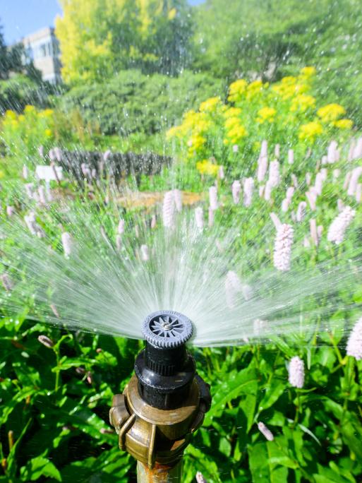 Die Düse eines Bewässerungssystems sprüht Wasser auf ein blühendes Beet. Die Düse eines Bewässerungssystems sprüht Wasser auf ein blühendes Beet.