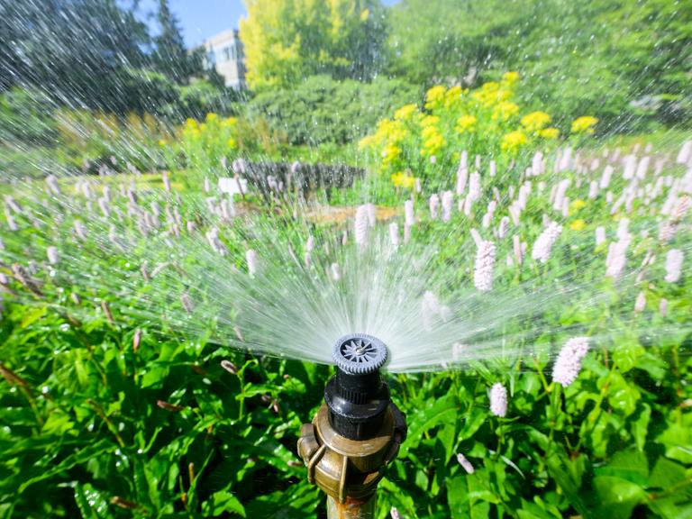 Die Düse eines Bewässerungssystems sprüht Wasser auf ein blühendes Beet.