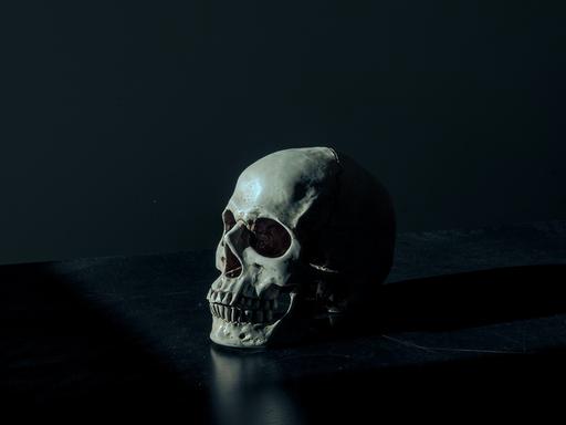 Mit dem Tod des Komponisten Scheffel verschwindet auch der Schädel des Dichters E. T. A. Hoffmann. Zu sehen: Der Schädel eines Menschen.