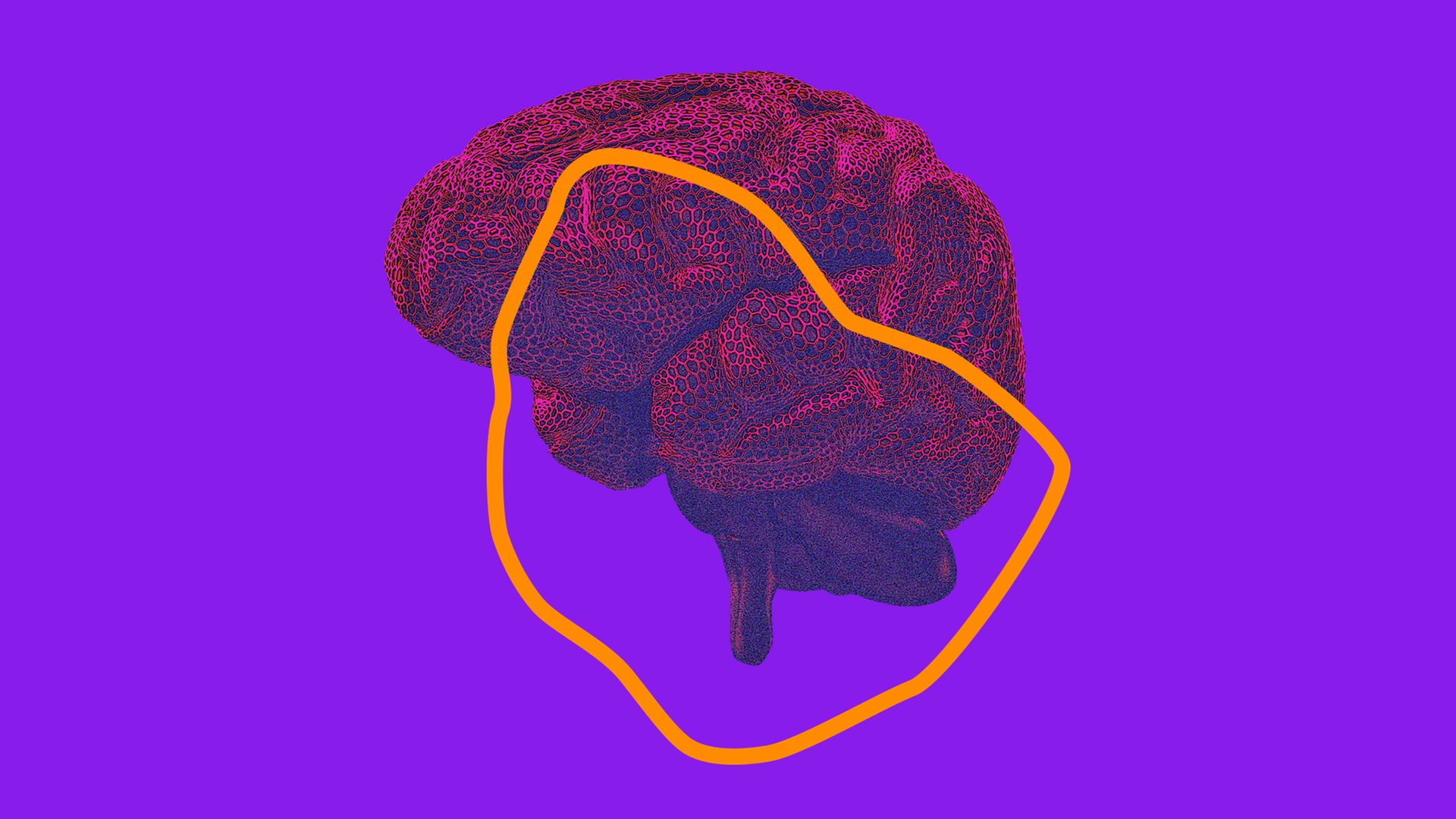 Das Bild zeigt ein stilisiertes Gehirn.