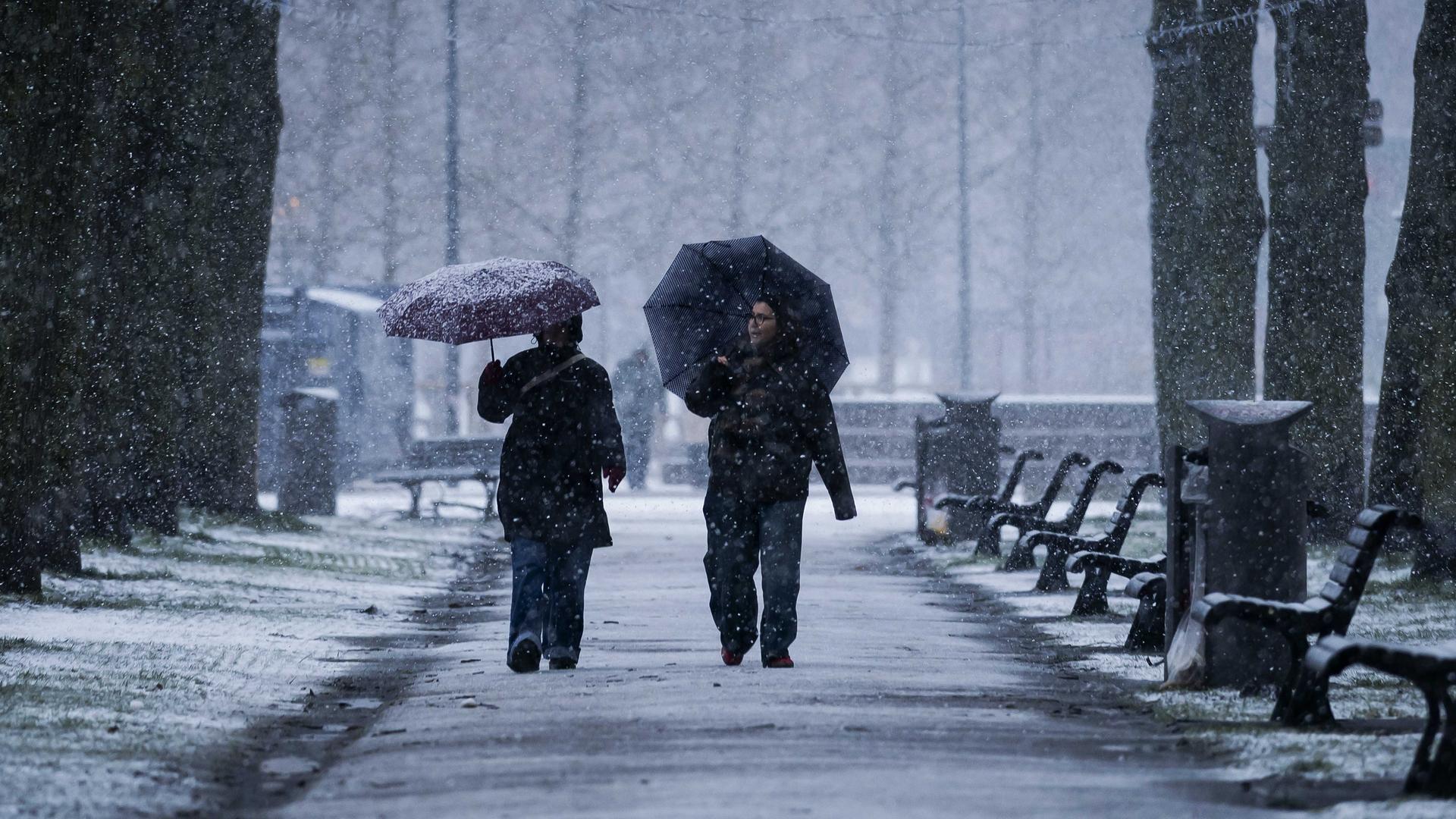 Zwei Personen laufen mit Regenschirmen im Schneeschauer durch eine Allee der Kamera entgegen.