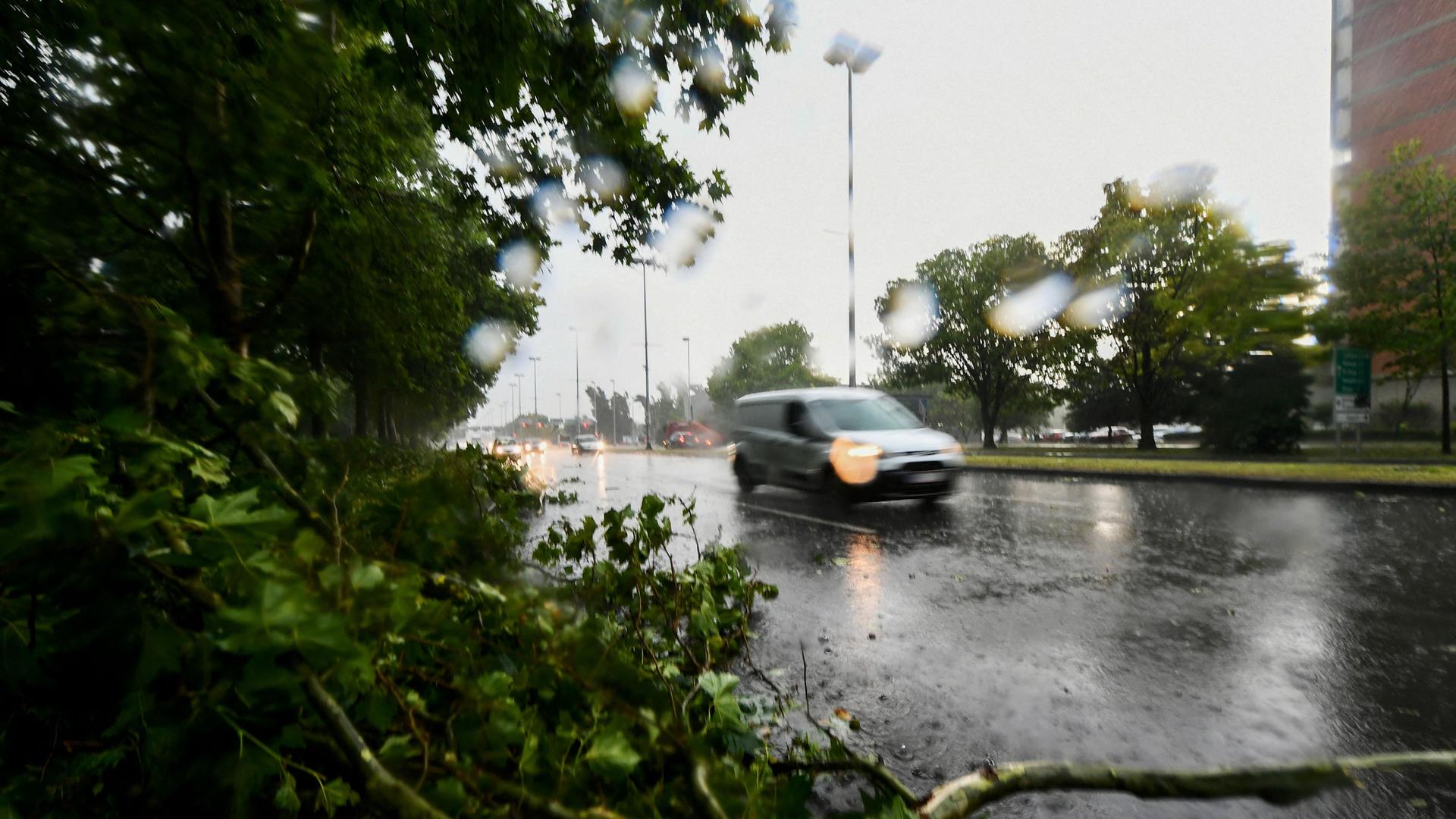 Ein Auto fährt an einem durch ein Unwetter umgestürzten Baum in Zagreb vorbei.