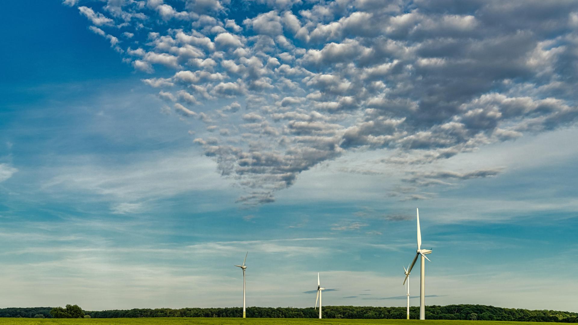 Auf einem Feld in Mecklenburg-Vorpommern stehen drei Windräder, darüber ist ein blauer Himmel mit Wolken.