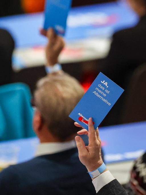 AfD-Stimmkarte mit der Aufschrift "Ja" wird hochgehalten