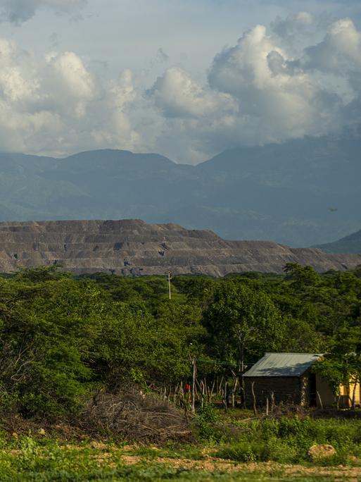 Blick auf ein Waldgebiet in der Nähe des Rancheria-Flusses, in dessen Umgebung das indigene Volk der Wayú lebt. Im Hintergrund türmt sich die Cerrejón-Kohlemine.