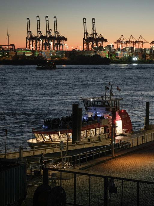 Blick über den Hafen zu den markanten Hamburger Kränen.