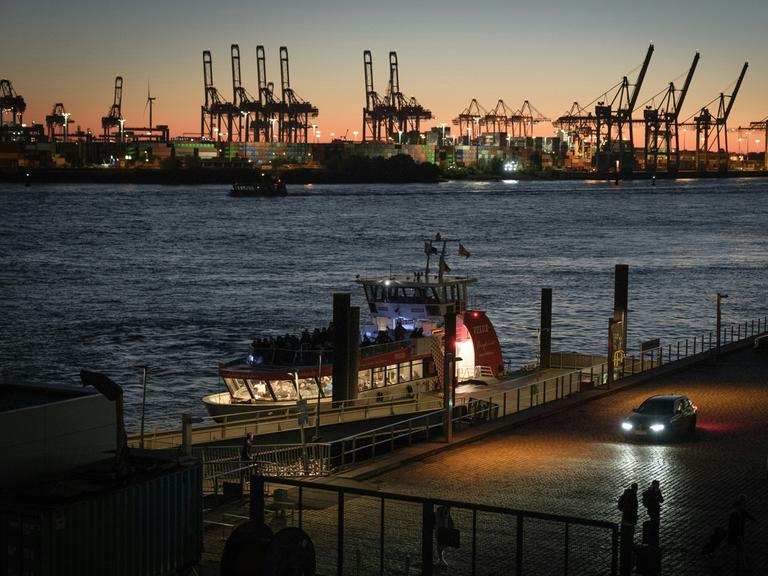 Blick über den Hafen zu den markanten Hamburger Kränen.