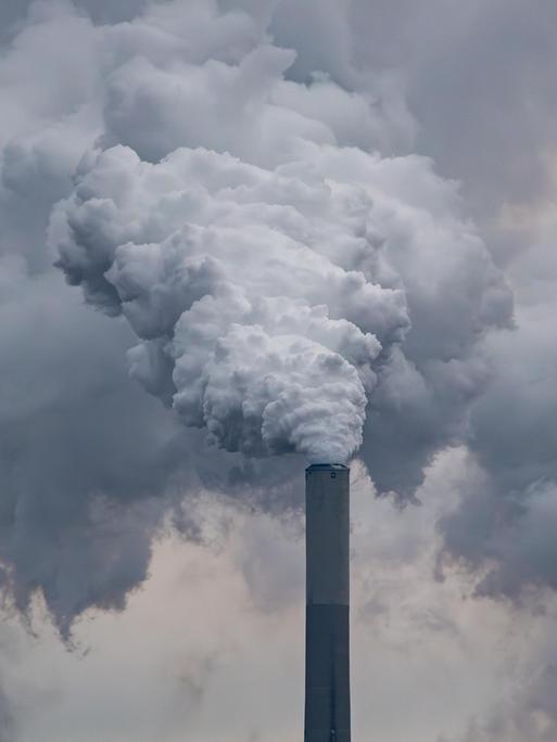 Zwei große Industrieschornsteine, aus denen dichte, grauweiße Rauchwolken in den Himmel aufsteigen und den Hintergrund fast vollständig verdecken.