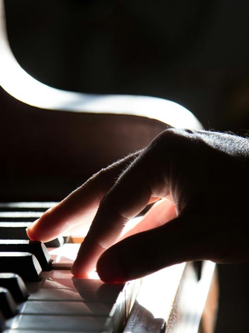 Eine männliche Hand spielt auf einer Tastatur, auf die starke Sonne einfällt.