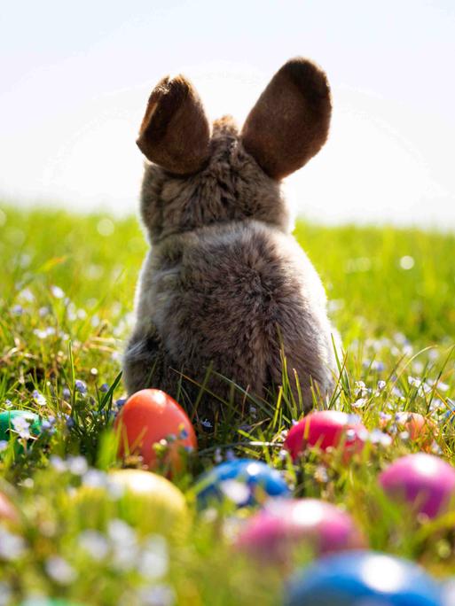 Zwischen verstreuten Ostereiern sitzt ein Osterhase auf der Wiese und beobachtet die blühende Frühlingslandschaft.