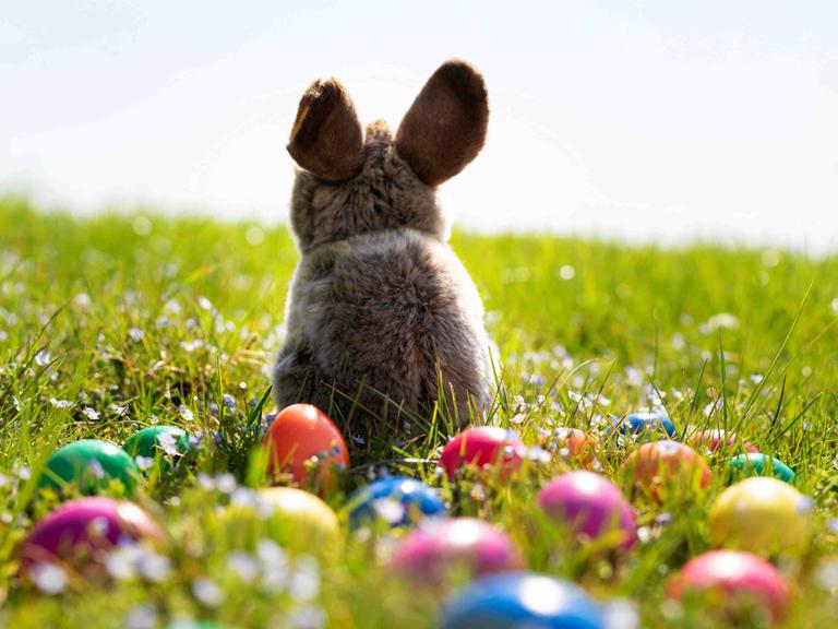 Zwischen verstreuten Ostereiern sitzt ein Osterhase auf der Wiese und beobachtet die blühende Frühlingslandschaft. Zwischen verstreuten Ostereiern sitzt ein Osterhase auf der Wiese und beobachtet die blühende Frühlingslandschaft.