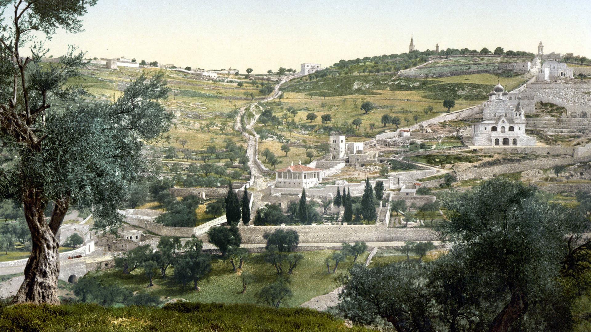 Hügel mit Olivenbäumen und Gethsemane, Jerusalem. Photocrom zwischen 1890 und 1900. Unbekannter Künstler, Private Sammlung.