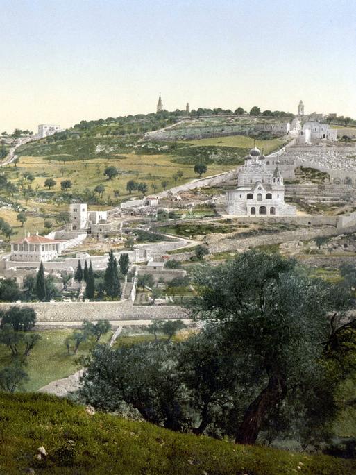 Hügel mit Olivenbäumen und Gethsemane, Jerusalem. Photocrom zwischen 1890 und 1900. Unbekannter Künstler, Private Sammlung.