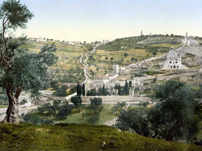 Hügel mit Olivenbäumen und Gethsemane, Jerusalem. Photocrom zwischen 1890 und 1900. Unbekannter Künstler, Private Sammlung.