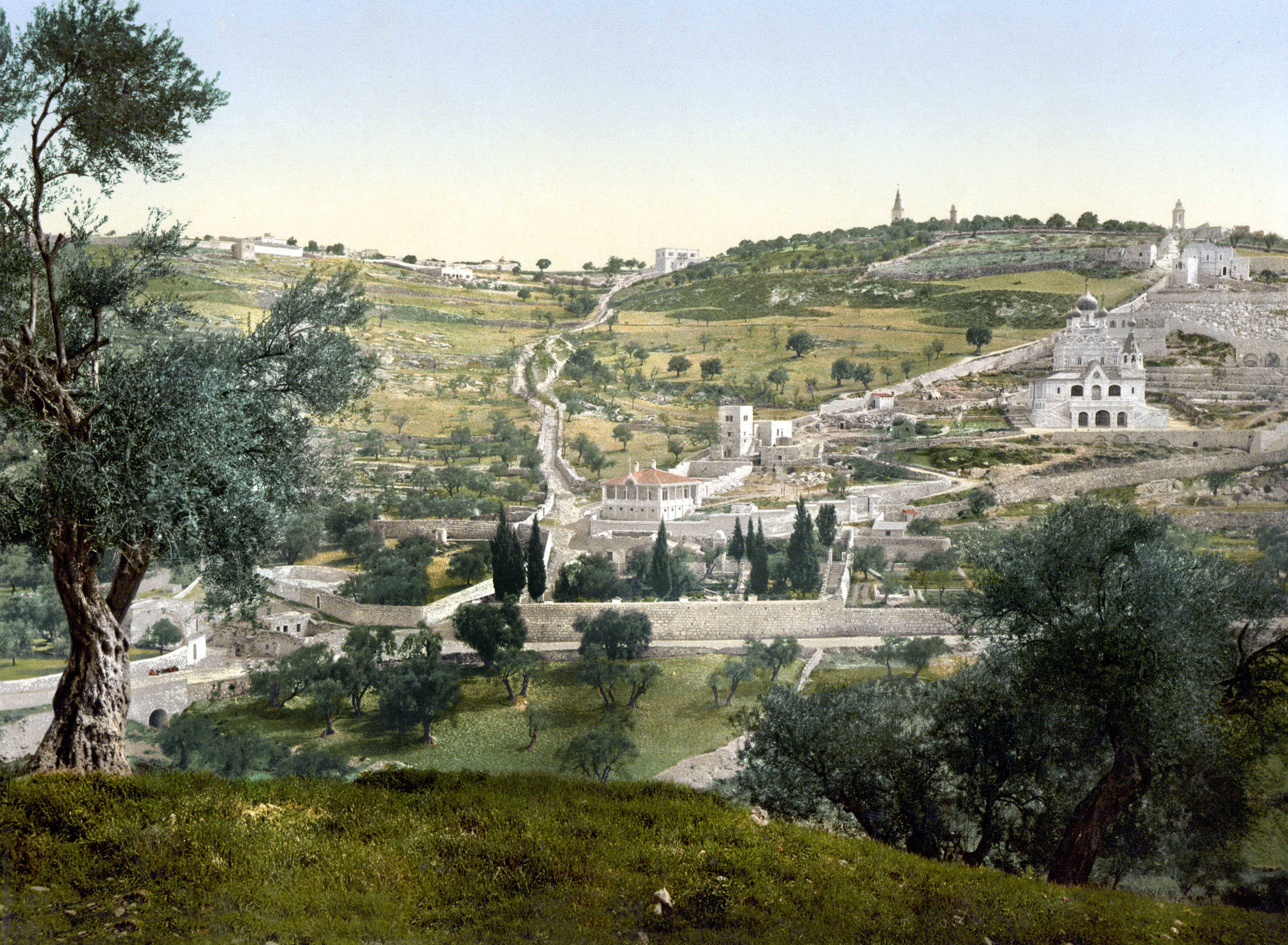 Hügel mit Olivenbäumen und Gethsemane, Jerusalem. Photocrom zwischen 1890 und 1900. Unbekannter Künstler, Private Sammlung.