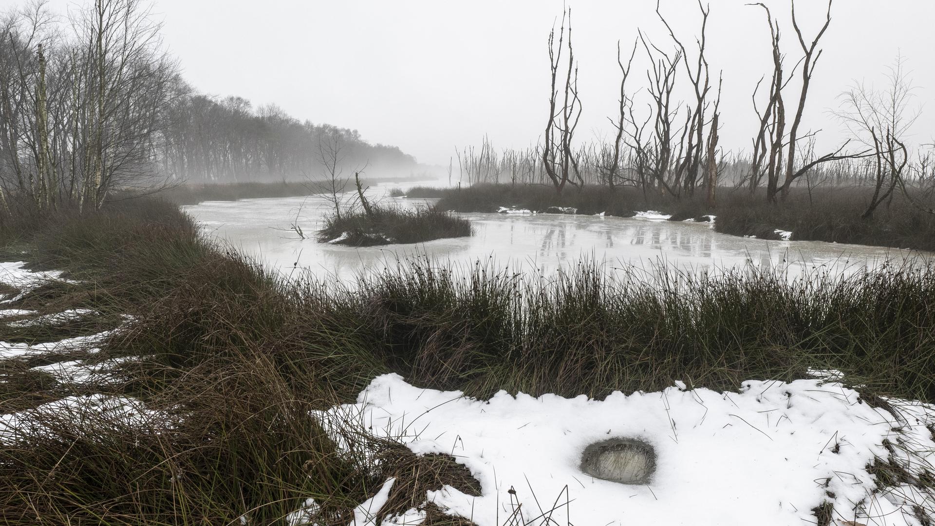 Winterliche Moorlandschaft im Nebel mit vereistem Wasser und Schnee.