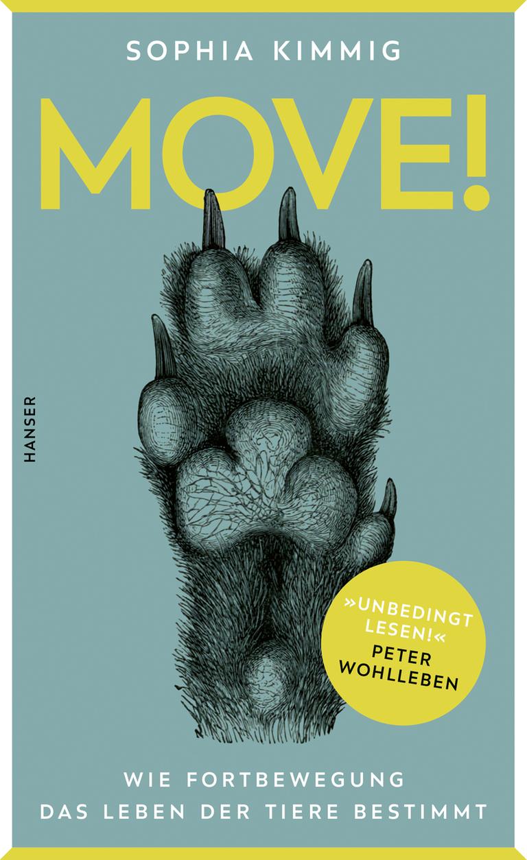 Cover des Buches "Move" von Sophia Kimmig