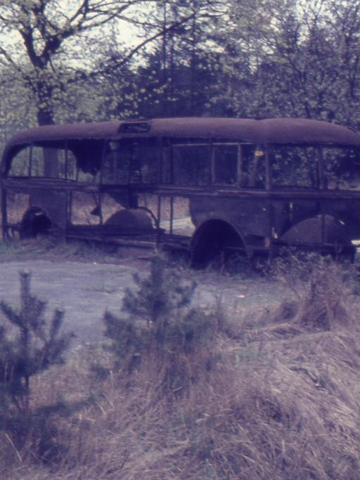 Zu sehen: ein ausgebrannter Bus im Wald bei Helmstedt. 