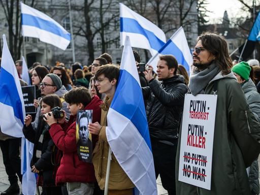 Demonstranten protestieren gegen Wladimir Putin in Litauens Hauptstadt Vilnius.