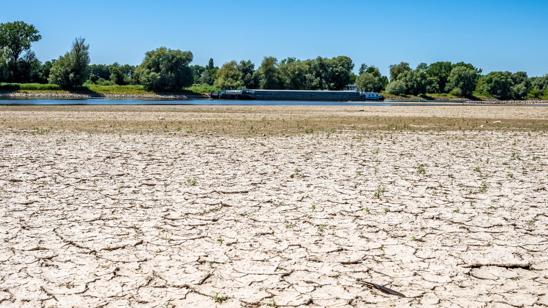 Aufgerissen und ausgetrocknet ist eine Sandbank an der Niedrigwasser führenden Donau bei Mariaposching in Niederbayern. Aufgerissen und ausgetrocknet ist eine Sandbank an der Niedrigwasser führenden Donau bei Mariaposching in Niederbayern.