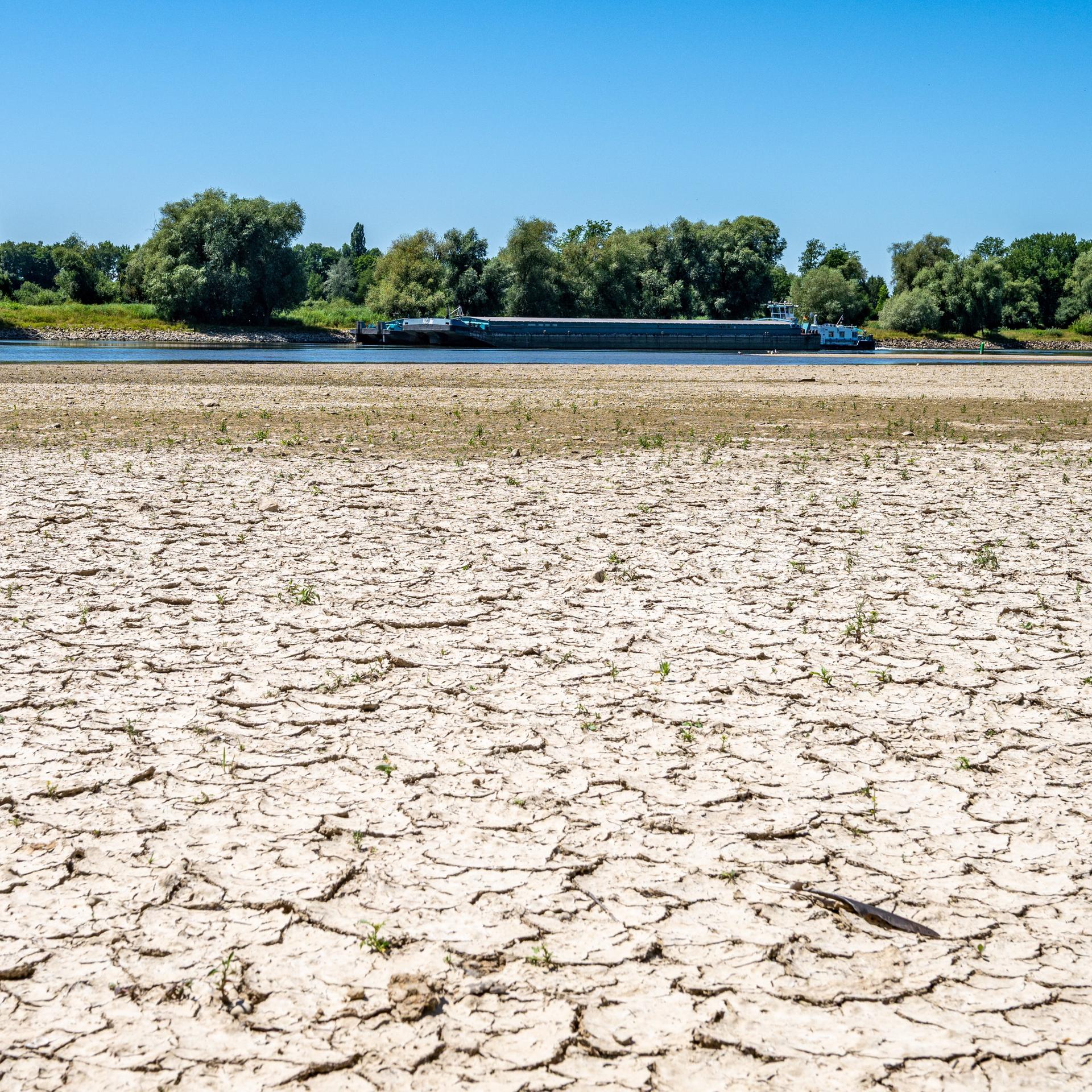 Aufgerissen und ausgetrocknet ist eine Sandbank an der Niedrigwasser führenden Donau bei Mariaposching in Niederbayern.