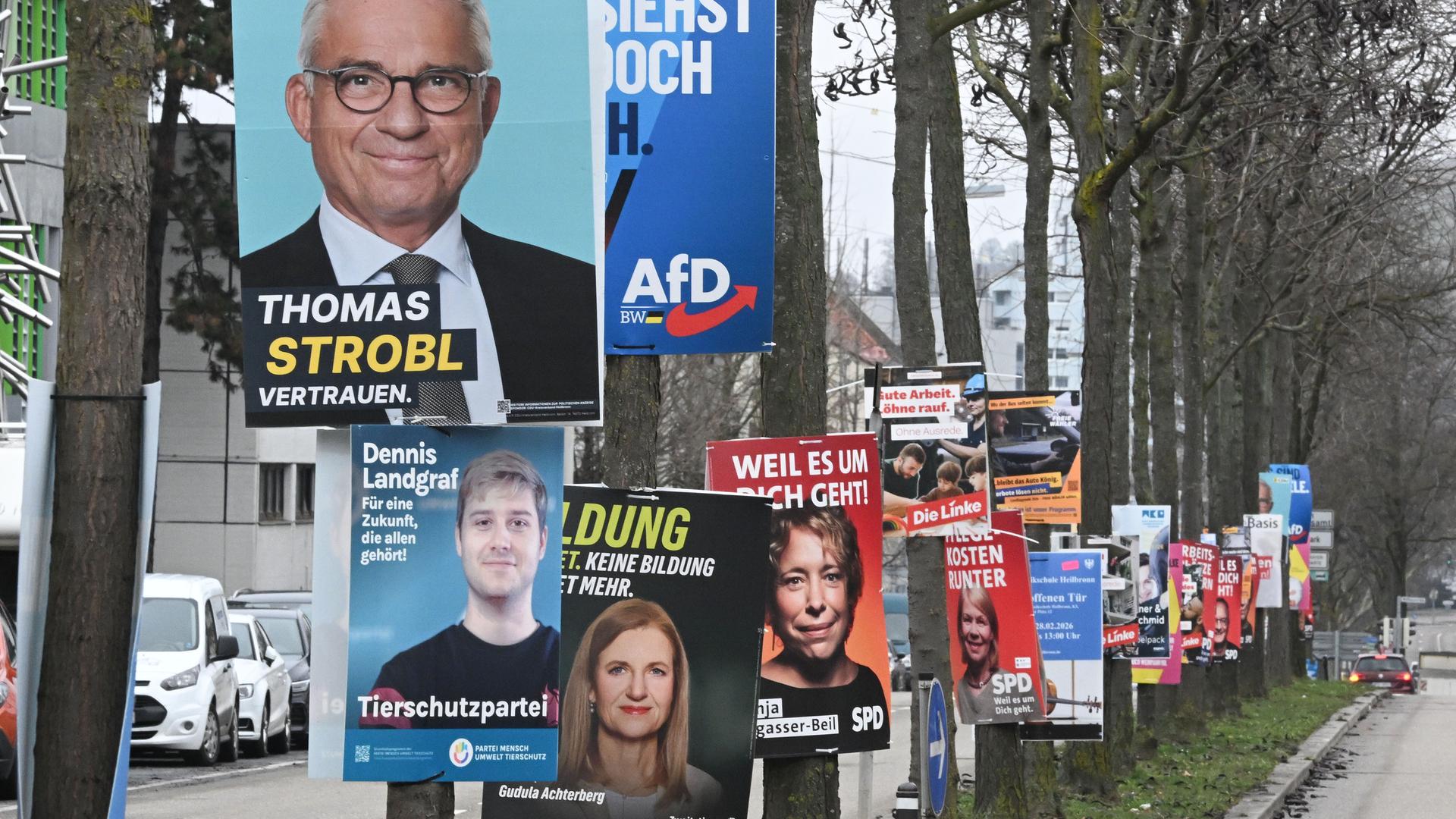 Wahlplakate der Parteien für die Landtagswahl 2026 in Baden-Württemberg sind an Bäumen einer Allee an einer Zufahrtsstraße befestigt.