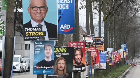 Wahlplakate der Parteien für die Landtagswahl 2026 in Baden-Württemberg sind an Bäumen einer Allee an einer Zufahrtsstraße befestigt.