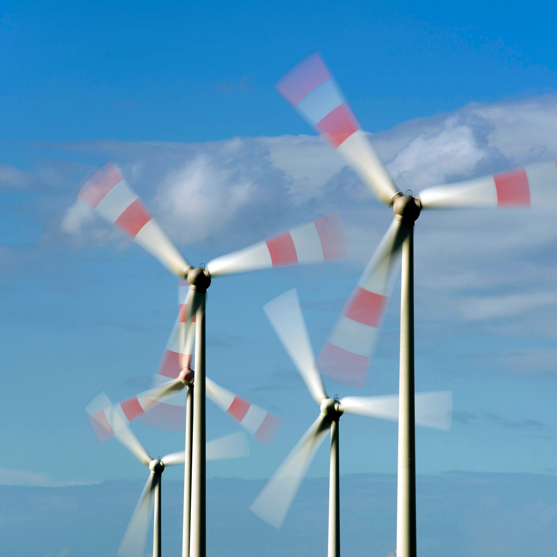 Forscher Pietzcker - Die EU ist auf gutem Weg zur Klimaneutralität