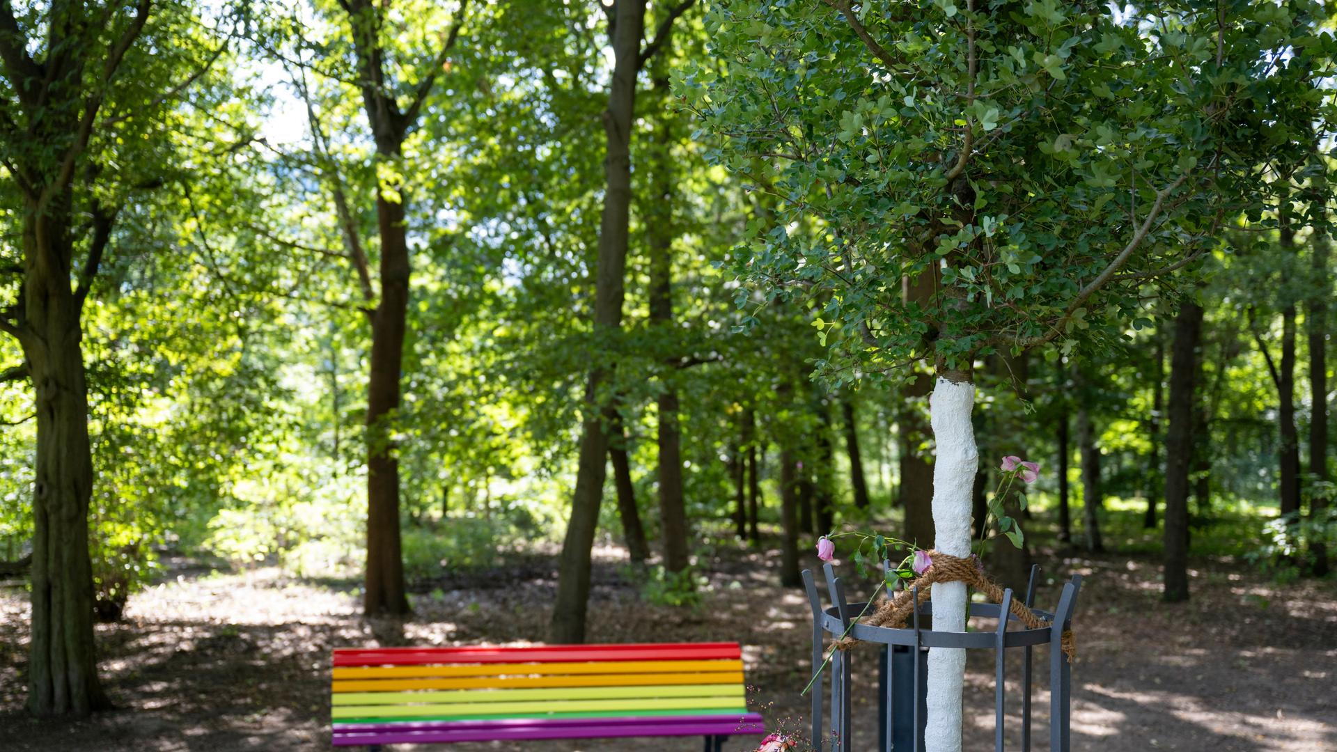 Eine Bank in Regenbogenfarben. Im Vordergrund steht ein frischgepflanzter Ahorn in einem Park. Eine Bank in Regenbogenfarben. Im Vordergrund steht ein frischgepflanzter Ahorn in einem Park.