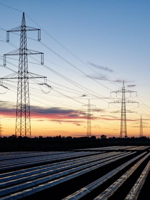 Windräder und Hochspannungsleitungen in Bayern, am Himmel ist Morgenrot zu sehen.
