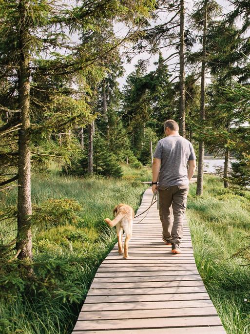 Ein Mann mit Hund geht auf einem Holzsteg durch den Wald und genießt die Natur. Rechts von ihm verläuft ein Fluss.