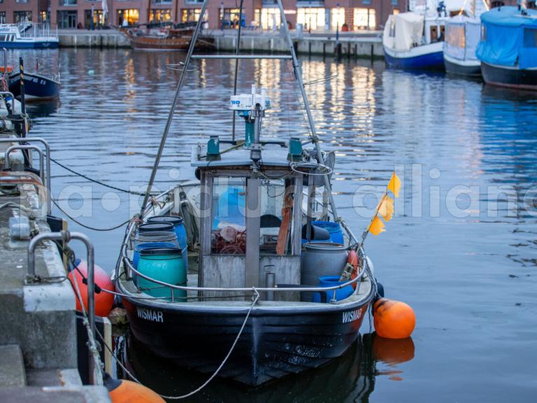 Ein einzelner Fischkutter liegt im Alten Hafen am Kai der Fischereigenossenschaft. 