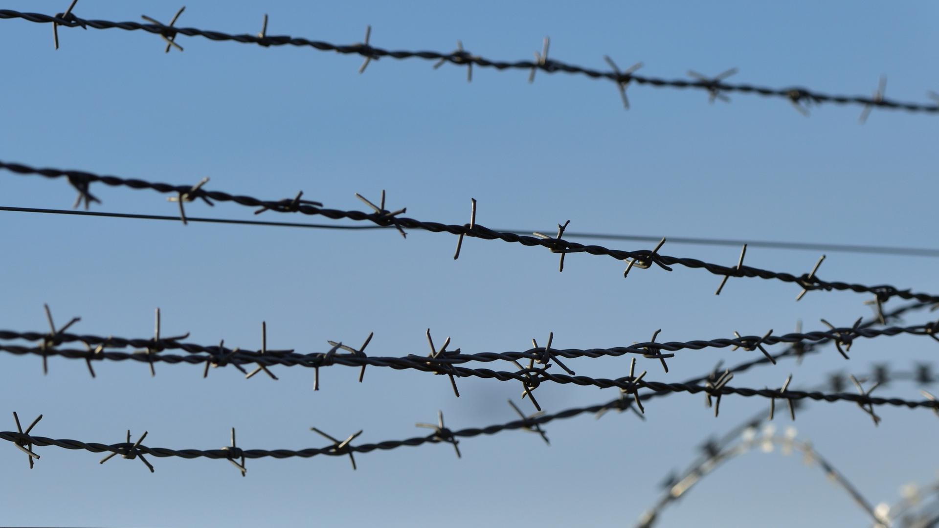 Mehrere Reihen Stacheldraht vor einem blauen Himmel