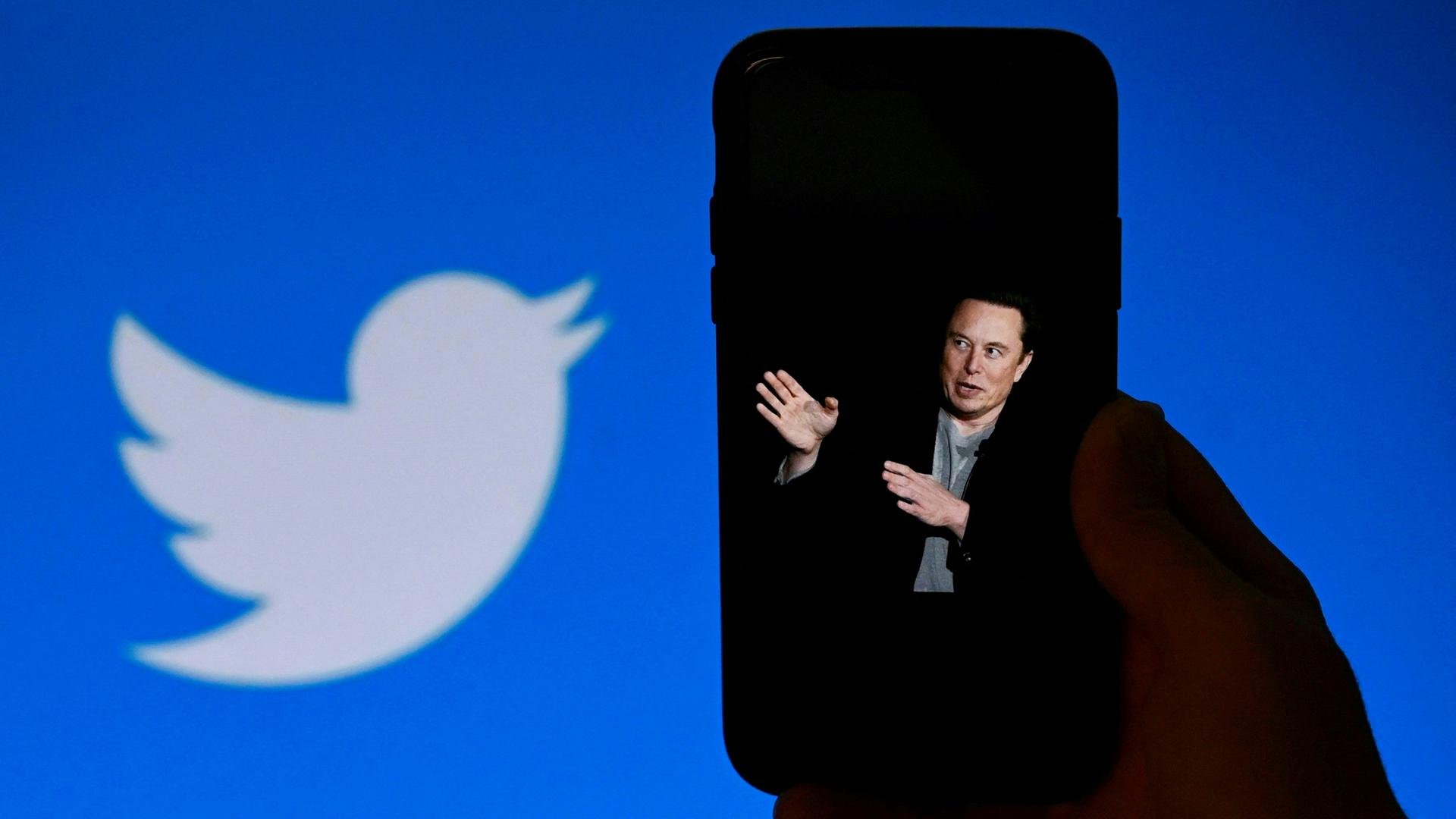 Elon Musk auf dem Display eines Smartphones, daneben das Twitterlogo.