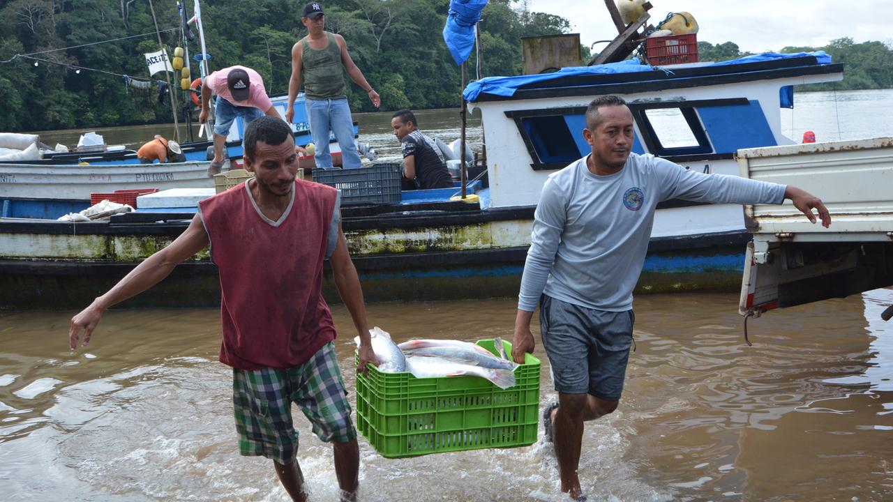 Fischer tragen im Hafen Coquira einen mit Fischen gefüllten Plastikkorb vom Boot aus an Land