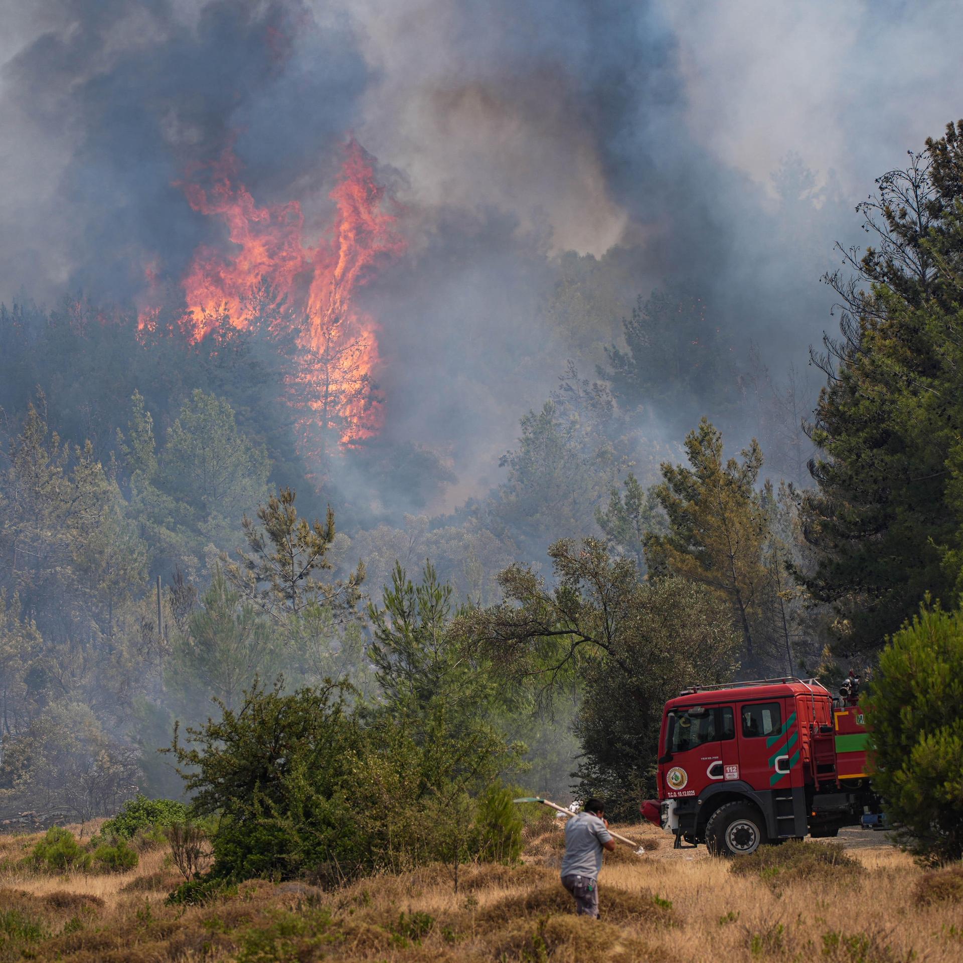 Trockenheit - Waldbrandgefahr in Südosteuropa und der Türkei weiter hoch