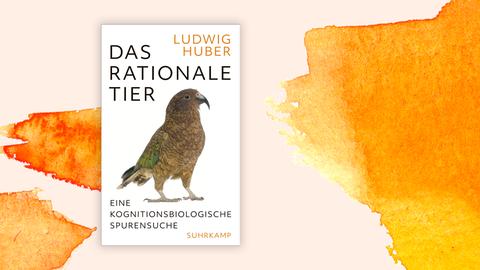 Das Cover des Buches "Das rationale Tier" von Ludwig Huber: Darauf ist ein Vogel abgebildet.