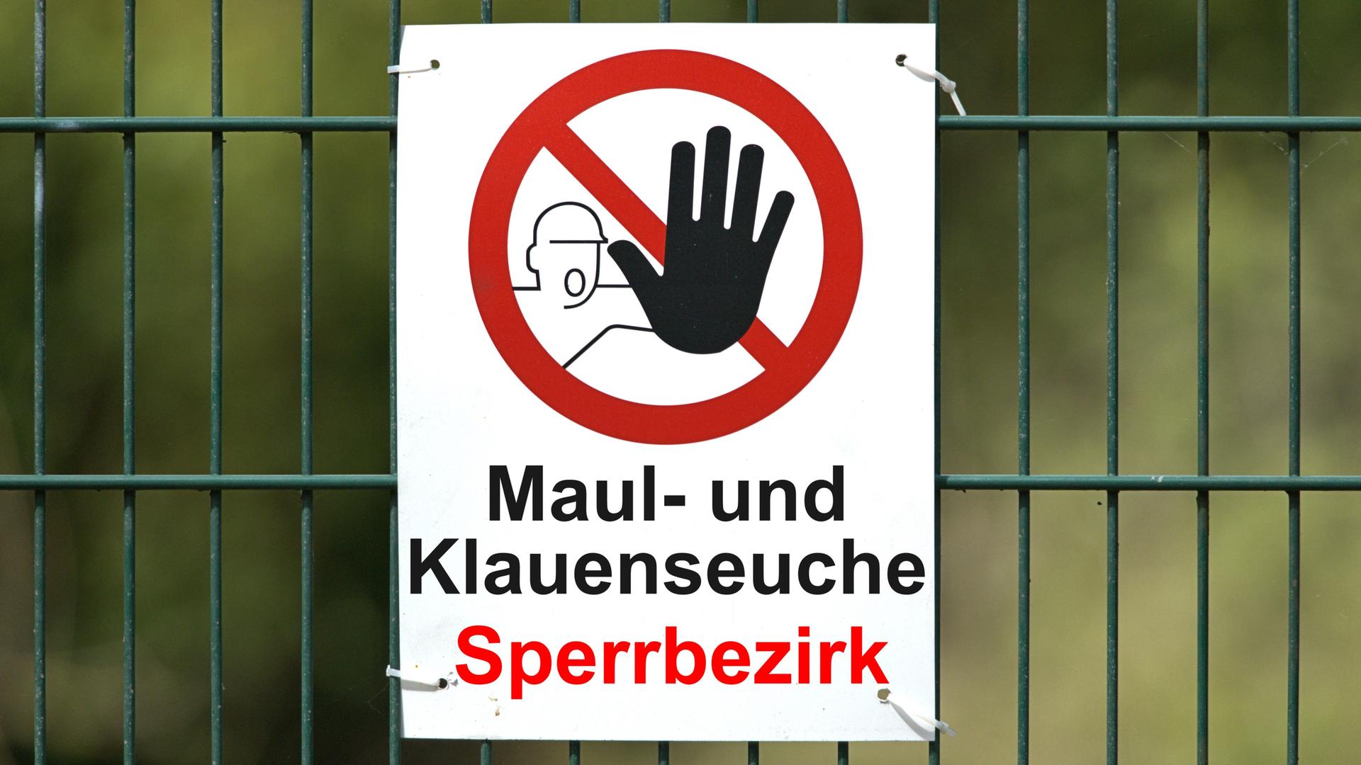 Das Foto zeigt ein Warnschild mit der Aufschrift "Maul- und Klauenseuche, Sperrbezirk". Menschen sollen dort nicht hingehen, um die Krankheit nicht weiter zu verbreiten.