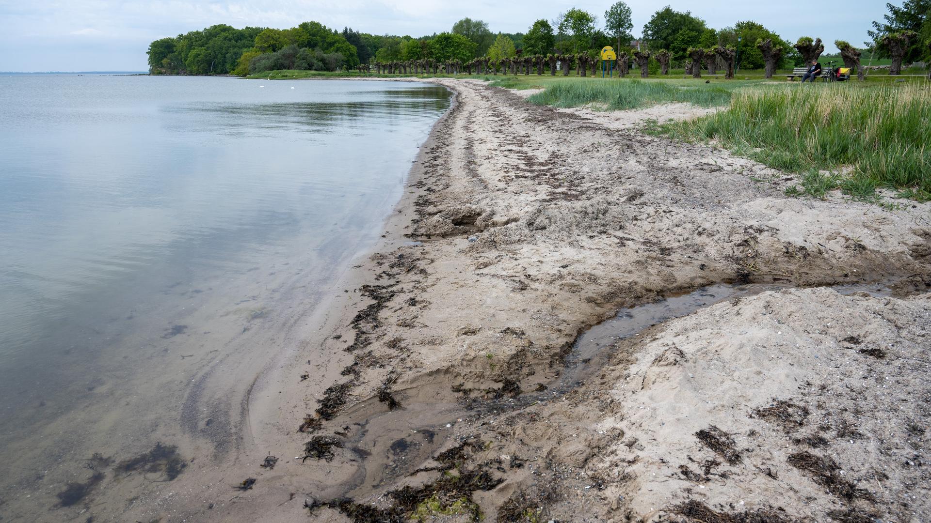 Mecklenburg-Vorpommern, Putbus: Blick auf eine Badestelle am Neuendorfer Badestrand am Greifswalder Bodden bei Putbus im Landreis Vorpommern-Rügen. Mecklenburg-Vorpommern, Putbus: Blick auf eine Badestelle am Neuendorfer Badestrand am Greifswalder Bodden bei Putbus im Landreis Vorpommern-Rügen.