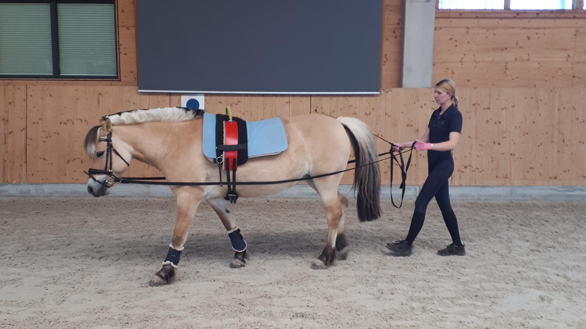 Betreuerin mit Pferd im inklusiven Pferdesport- und Reittherapiezentrum in Berlin-Karlshorst