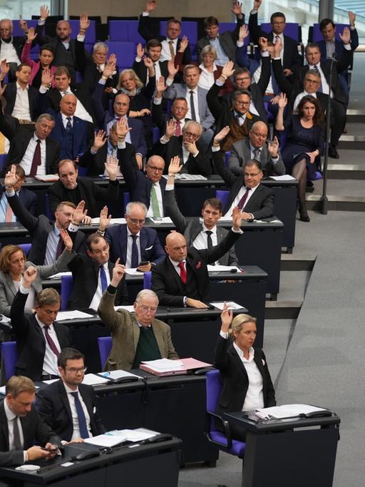 Die AfD-Fraktion stimmt für ihren Antrag bei der konstituierenden Sitzung des neuen Bundestags, alle heben die Hand.