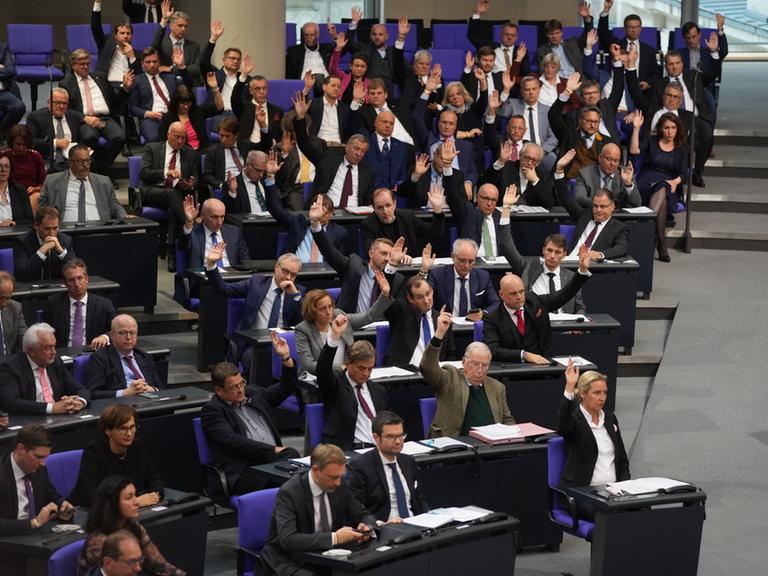 Die AfD-Fraktion stimmt für ihren Antrag bei der konstituierenden Sitzung des neuen Bundestags, alle heben die Hand.