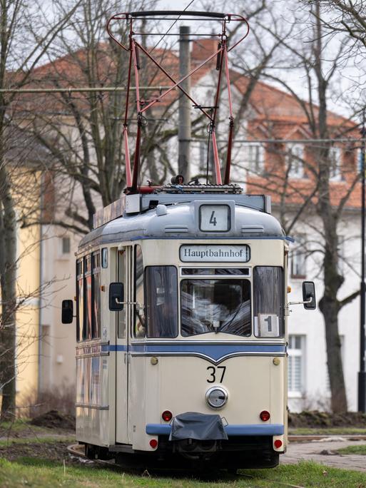 Ein Triebwagen der Straßenbahn Naumburg fährt durch die Stadt. 