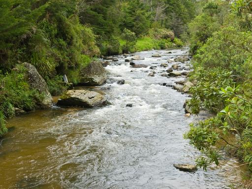 Durch grün bewaldete Hänge fließt ein Fluss. Das Wasser umspült zahlreiche große Steine, die im Flussbett liegen.