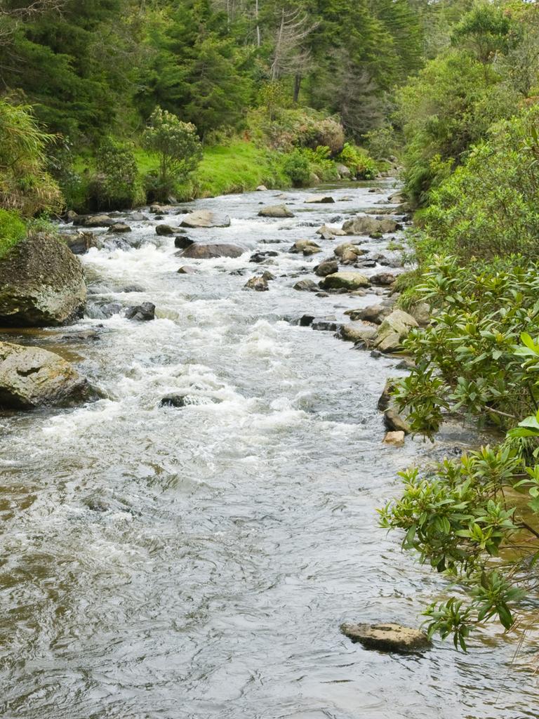 Durch grün bewaldete Hänge fließt ein Fluss. Das Wasser umspült zahlreiche große Steine, die im Flussbett liegen.