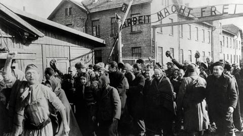 Überlebende von Auschwitz verlassen das Lager nach der Befreiung durch sowjetische Truppen. 