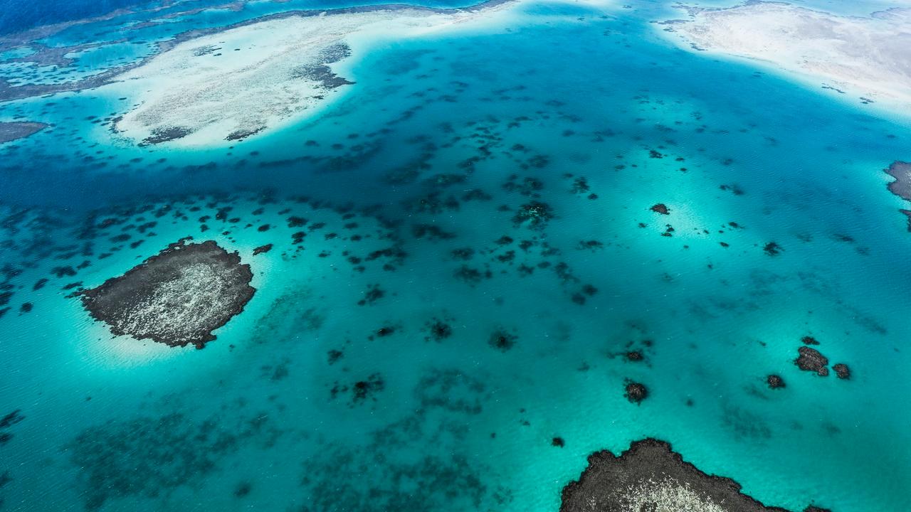 Korallenriff im Roten Meer nahe Yanbu in Saudi Arabien. Korallenriff im Roten Meer nahe Yanbu in Saudi Arabien.