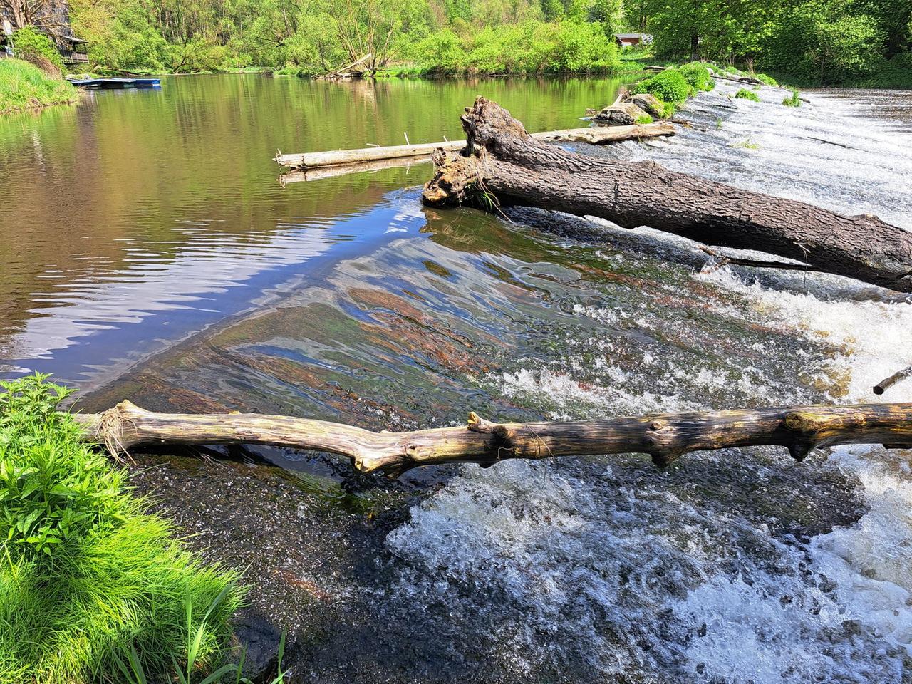 Saale Steinmühlenwehr