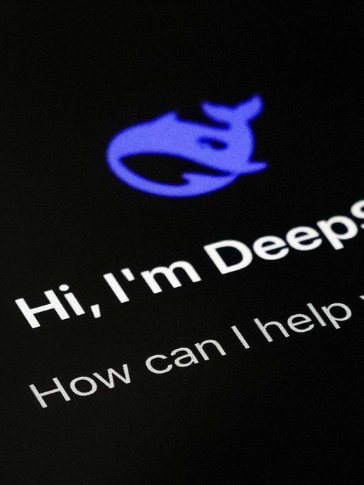 Die Smartphone App Deepseek 