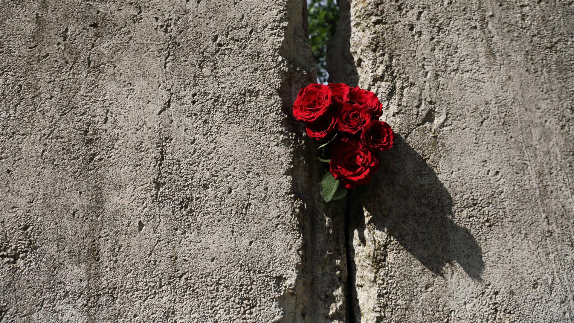 In einem Spalt der Berliner Mauer steckt ein Strauß mit roten Rosen.